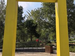 -天目山大树王景区