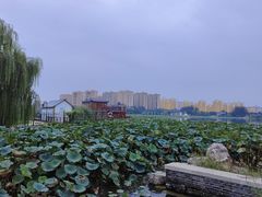 -高玛纳驴肉火烧(河间总店)