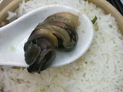 -苏记农家菜馆
