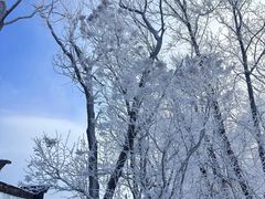 -中旅松花湖滑雪场