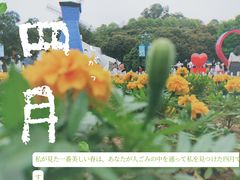 -龙凤山庄影视度假村