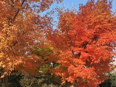 -长春世界雕塑园冰雪艺术天地