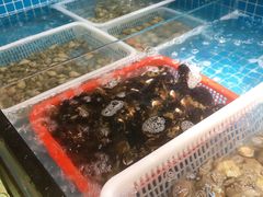 -南京钟山宾馆(江苏省会议中心)
