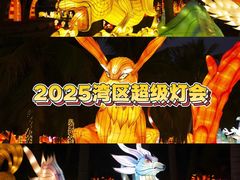-欢乐海岸椰林沙滩-2025湾区超级灯会
