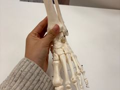 -复动肌骨门诊·MEDMOTION(北外滩店)