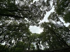 -天一阁博物院