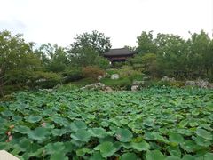 -上海滨江森林公园