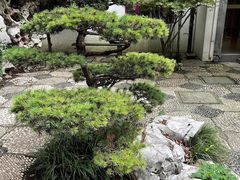 -全季酒店（苏州观前街平江路店）(原临顿路地铁站店)