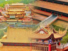 -东莞市大岭山森林公园