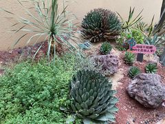 -正佳雨林生态植物园