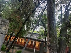 -南阳卧龙岗武侯祠