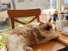 -灯塔咖啡馆BOOK·Coffee Shop