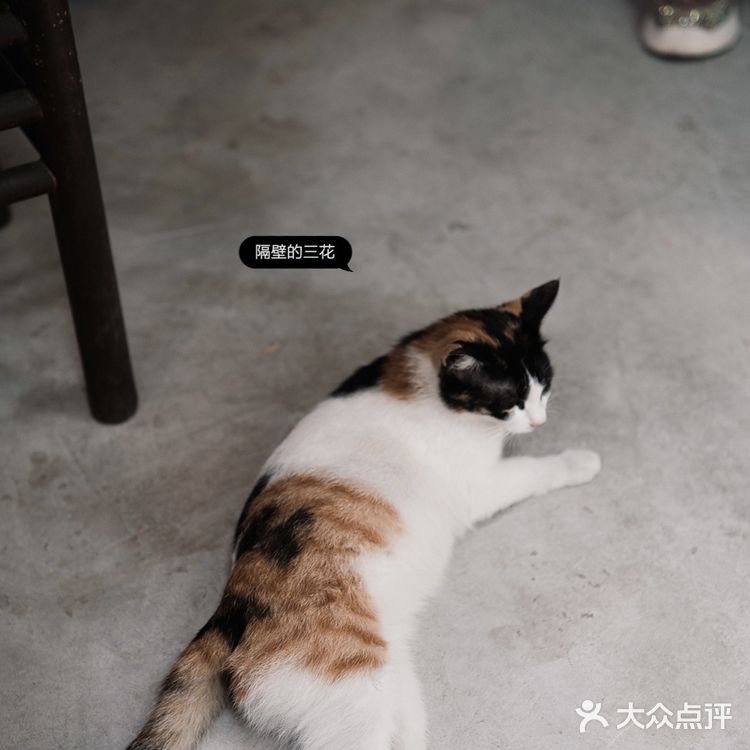 广州新店 | 老城区有生活气息的咖啡店