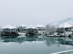 -帐篷客·溪龙茶谷度假酒店