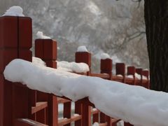 -沣峪口