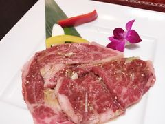 -叙叙苑(惠比寿花园广场大厦店)