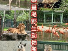 -秦皇岛野生动物园