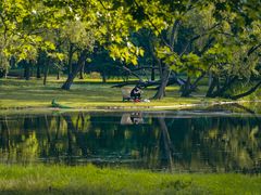 -上海共青森林公园