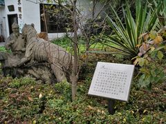 -晓港公园