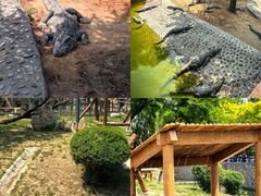 -石家庄市动物园