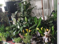 -Thai Basil罗勒叶泰式餐厅(时代天街店)