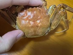 -东漖肉菜综合市场