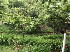 -北京水岸山吧度假村(雁栖镇店)