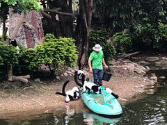 -清迈夜间动物园