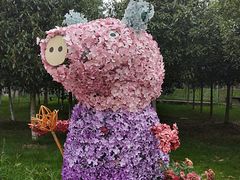 -武汉紫薇都市田园