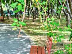 景点-将府公园
