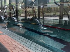 -W FITNESS 威尔仕健身·游泳(七宝店)