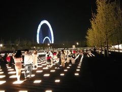 景点-南京眼步行桥