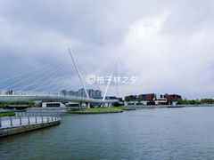 -映月湖中央公园