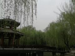 -西安市长乐公园