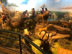 -陕西自然博物馆