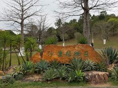 -东莞植物园
