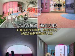 -深圳湾万象城