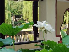 -舜耕山庄四时万和自助餐厅