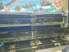 水产区-利杨记·本味轩粥坊·烧烤(宝体店)
