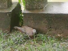 -晓港公园