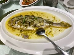 清蒸东海大黄鱼-金时代顺风大酒店(协泰店)