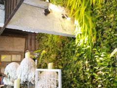 -外婆家(杭州马塍店·杭帮菜名店)