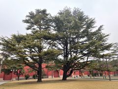 -北京市劳动人民文化宫(太庙)