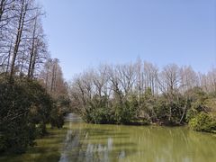 -上海滨江森林公园