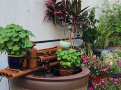 -阿南海鲜