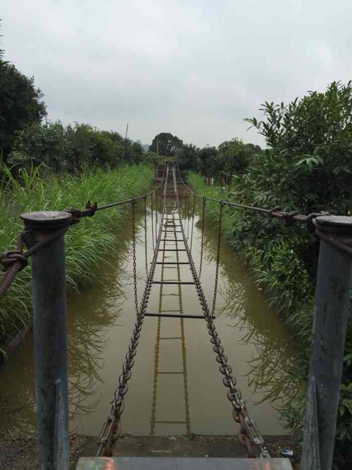 金星农庄-"旧年我地班系呢度玩过,煮饭噶地方实在糟糕.