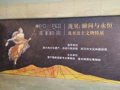 -盘龙城国家考古遗址公园