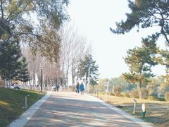 -莫子山公园