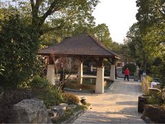 iphone_upload_pic-天目湖涵田半山温泉水乐园