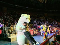 -俄罗斯国家大马戏团